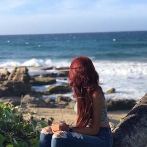 Meet your Posher, Sully